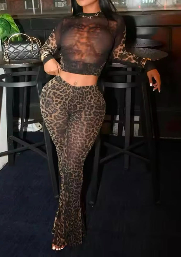 Mesh Cheetah Pants Set