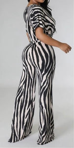 Zebra Pant Set